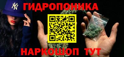 гидропоника Заводоуковск