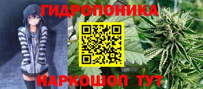 бошки Заволжье