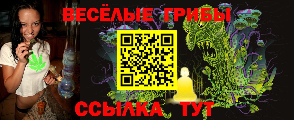 Псилоцибиновые грибы Psilocybe Луховицы