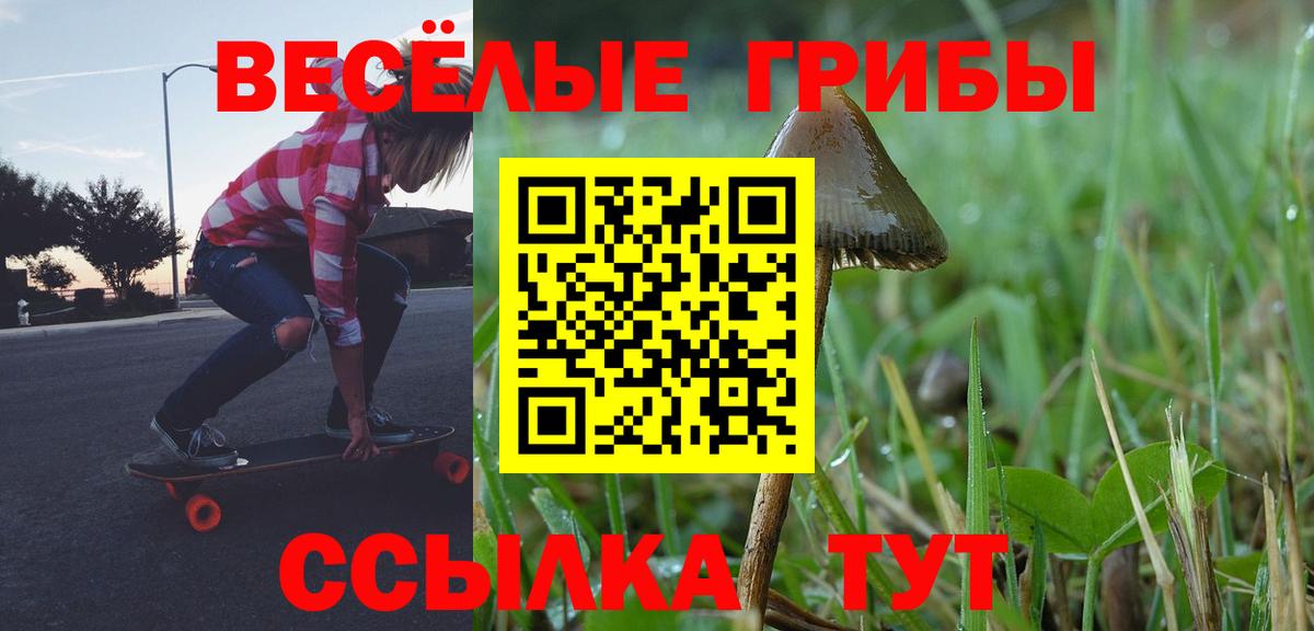 Луховицы  Псилоцибиновые грибы Psilocybe  Вход с VPN  Псилоцибиновые грибы MAGIC MUSHROOMS 